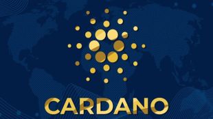 As of March 11, 2024 (1.36 pm, Indian Standard Time), Cardano was trading close to the $0.8 value