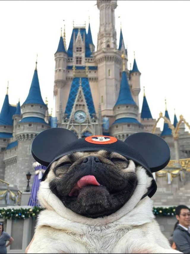 FE Leisure, Lifestyle, Net Worth