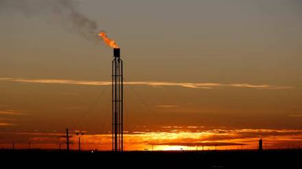 crude oil