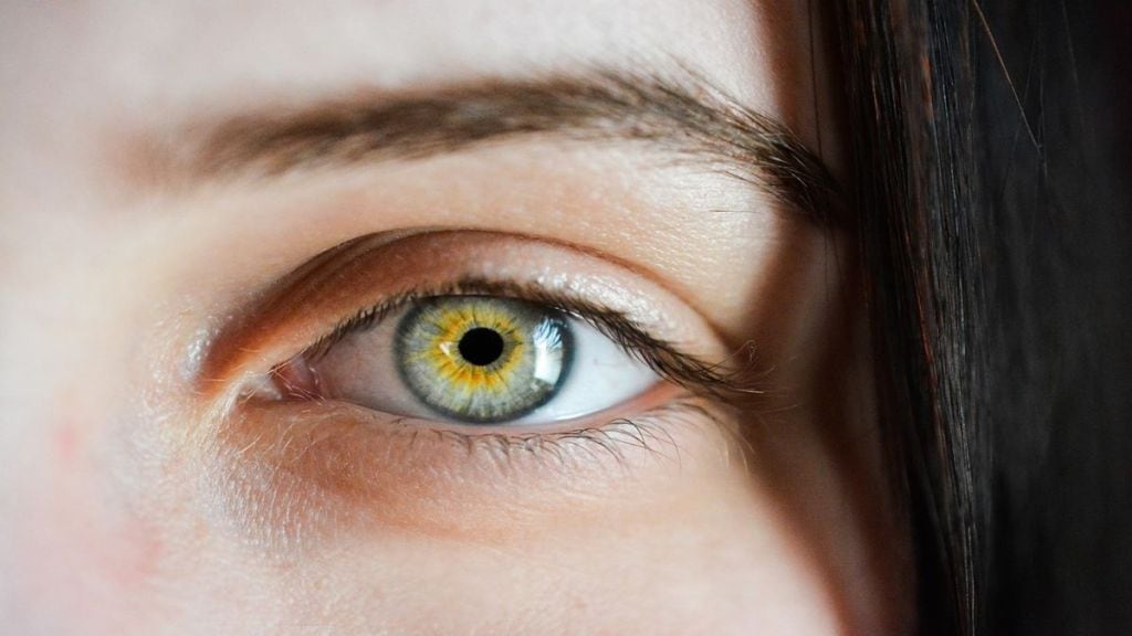 Roche launches monoclonal antibody for two critical eye diseases in India