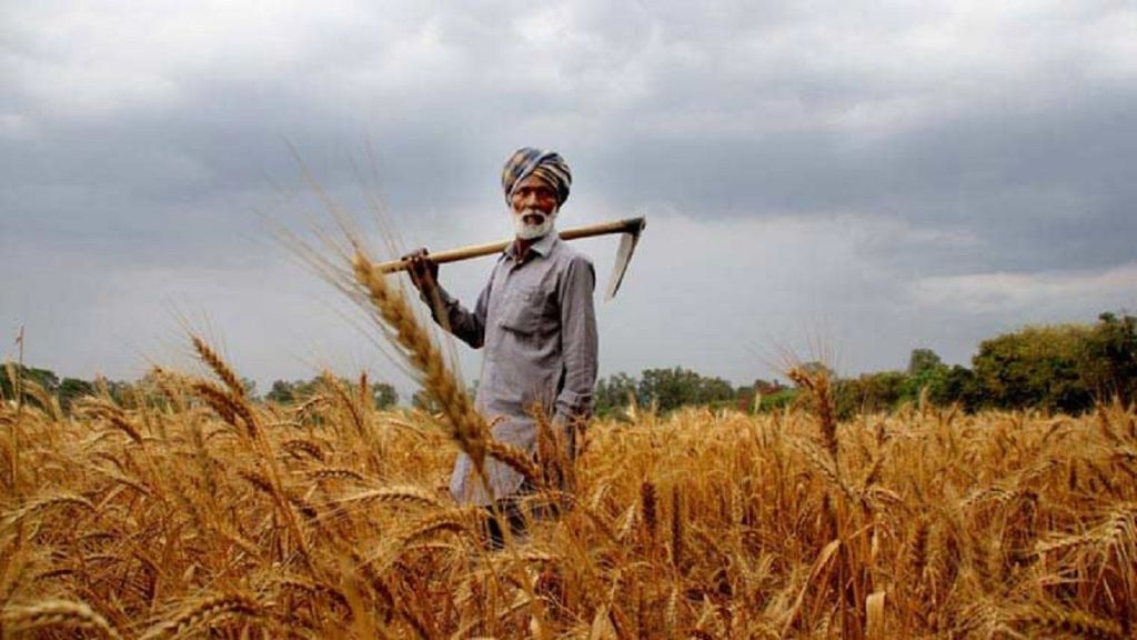 farmer