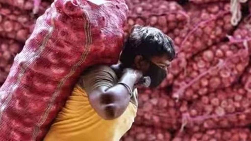 onion exports