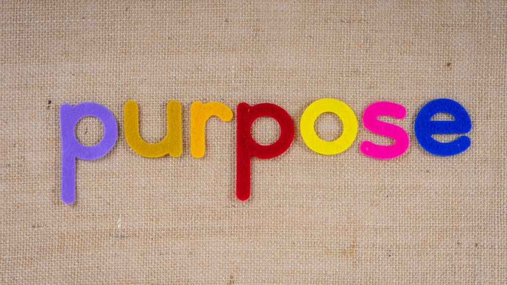 sense of purpose, sense of profit, practus, profit, entrepreneurs, talent, motivation, retention, money, employment, customer