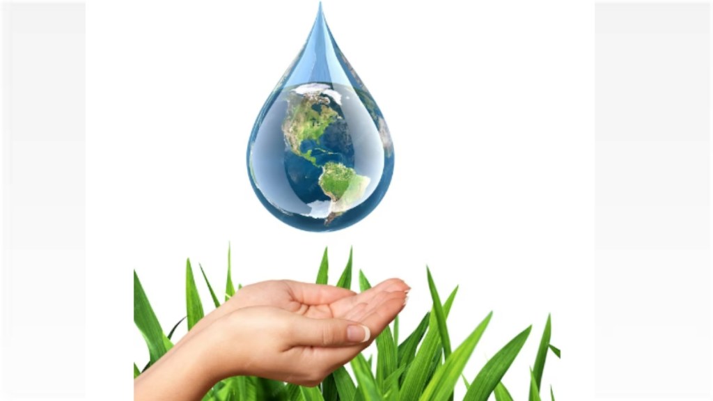 Efficient water management practices, such as drip irrigation and rainwater harvesting, are paramount in addressing this issue. (Image: Freepik)