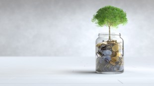 Investing tree