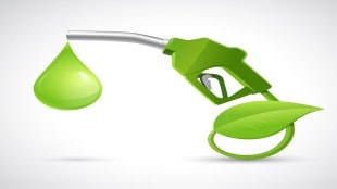 EV models