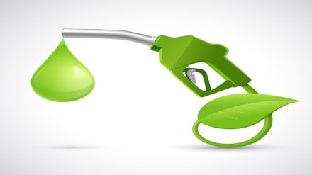 EV models