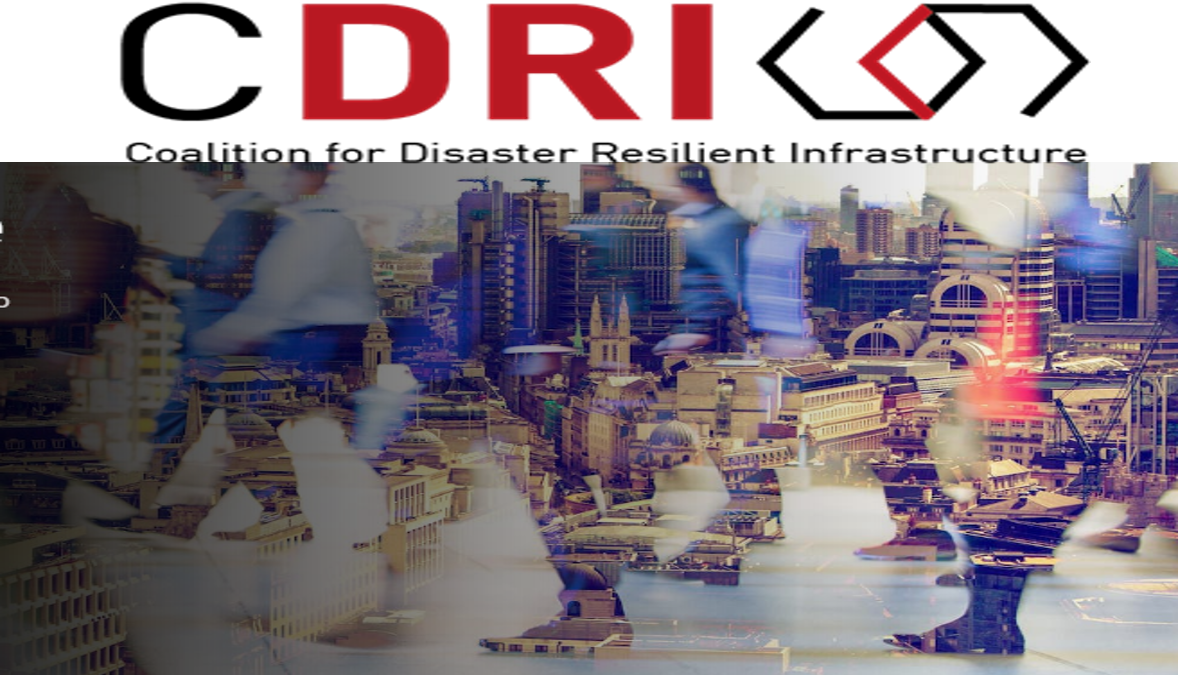 India-France Build Stronger Bonds: Focus on CDRI; Culture And Museums