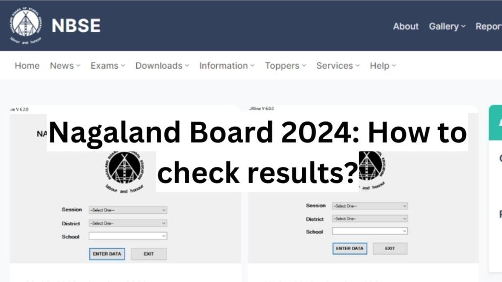 An alternative method to check results is through the android mobile app "NBSE."