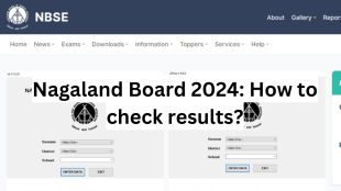 An alternative method to check results is through the android mobile app "NBSE."