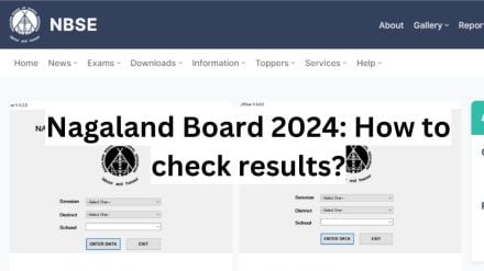 An alternative method to check results is through the android mobile app "NBSE."