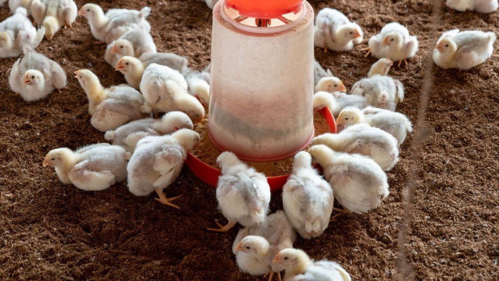 Scientists cautioned that the virus is nearing a tipping point