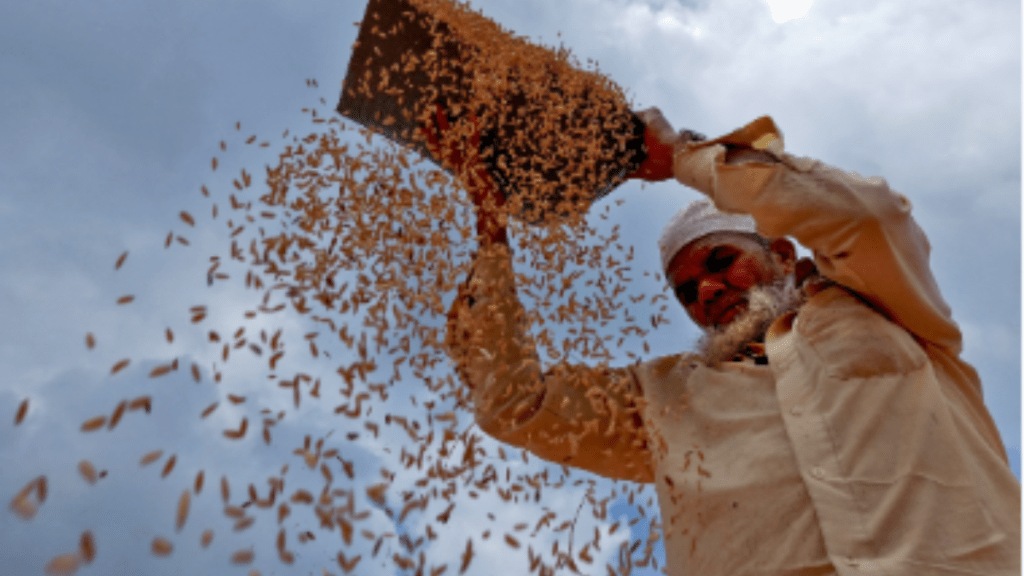 Food Subsidy Food Subsidy