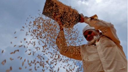 Food Subsidy