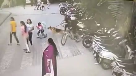 German Shepherd bites 6-year-old girl in Ghaziabad, case filed against owner | Video