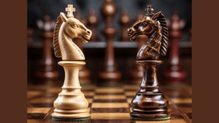 Candidates Chess 2024 Round 9 Today: At the 2024 Candidates tournament, R Vaishali suffered a significant defeat at the hands of Tan Zhongyi, resigning after just 21 moves in their game (Photo: Freepik)