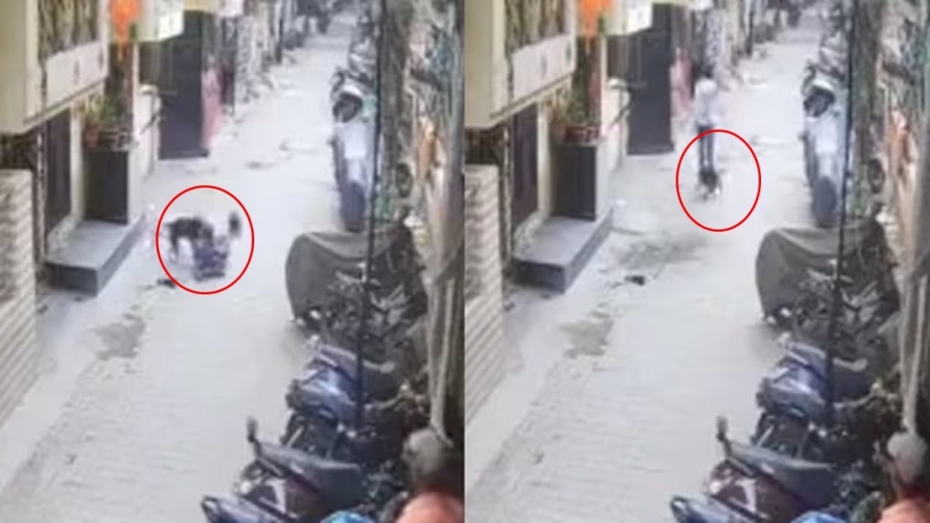 Pit bull attacks 15-year-old boy in Ghaziabad, stray dogs come to rescue | Video Pit bull attacks 15-year-old boy in Ghaziabad, stray dogs come to rescue | Video