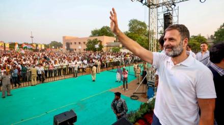 congress, rahul gandhi, lok sabha elections, opinion