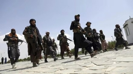 Taliban to restore properties of displaced Hindus and Sikhs