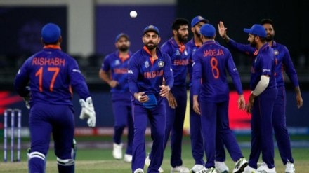 world cup, icc world cup, t20 world cup, ipl 2024, bcci