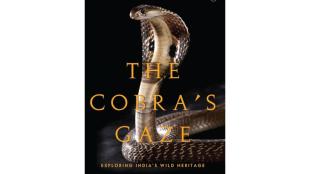 book review, The Cobra’s Gaze: Exploring India’s Wild Heritage, lifestyle
