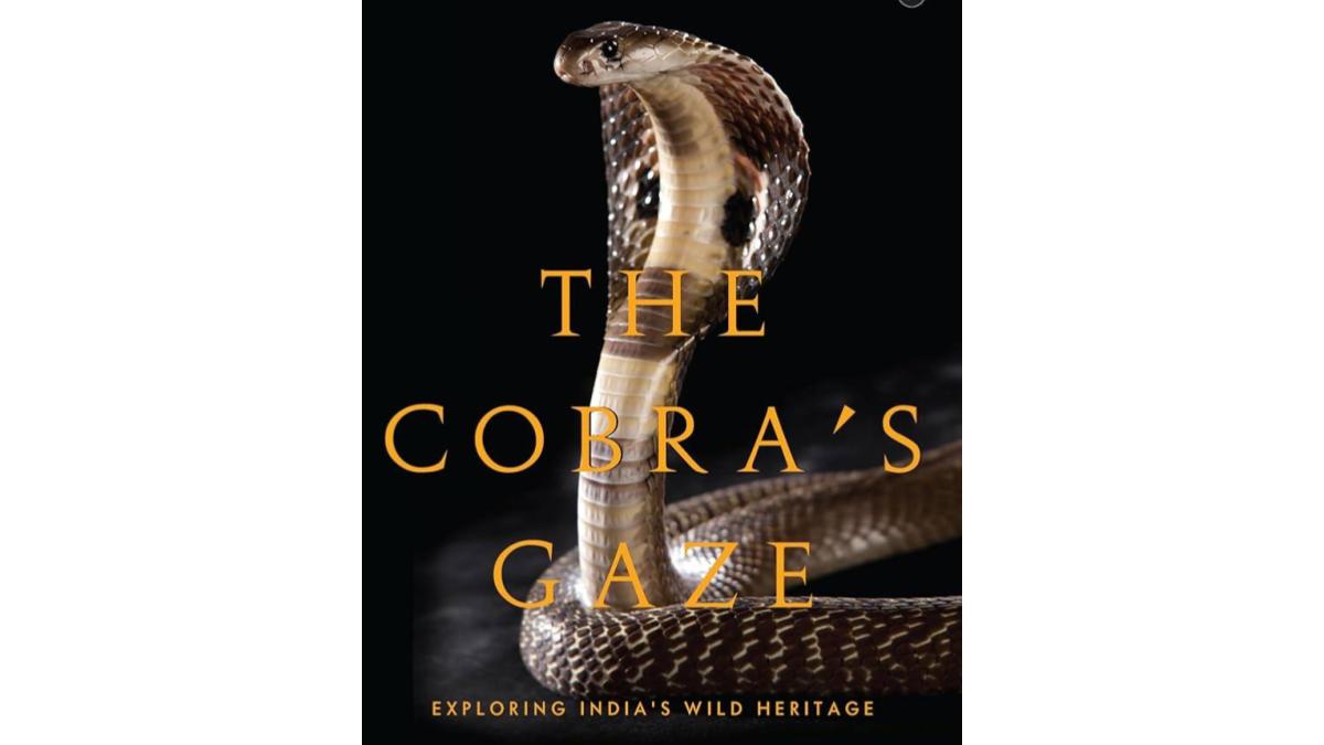 book review, The Cobra’s Gaze: Exploring India’s Wild Heritage, lifestyle book review, The Cobra’s Gaze: Exploring India’s Wild Heritage, lifestyle