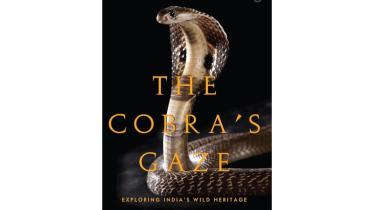 book review, The Cobra’s Gaze: Exploring India’s Wild Heritage, lifestyle