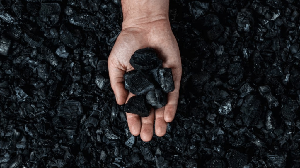 During the April-February period of FY24, non-coking coal import was at 160.63 MT (Photo: Freepik)