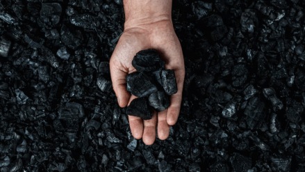 During the April-February period of FY24, non-coking coal import was at 160.63 MT (Photo: Freepik)