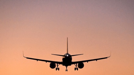 Vistara