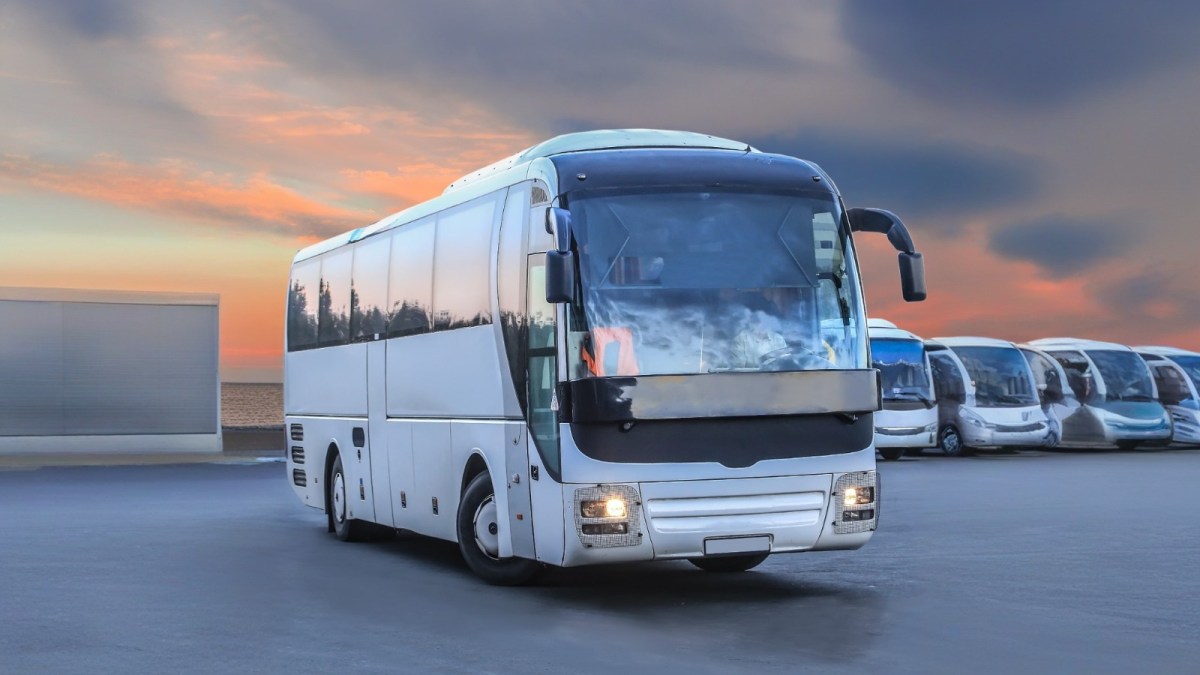 Bus Bus