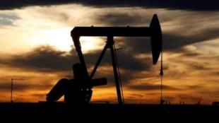 industry, industry news, financial express news, windfall tax