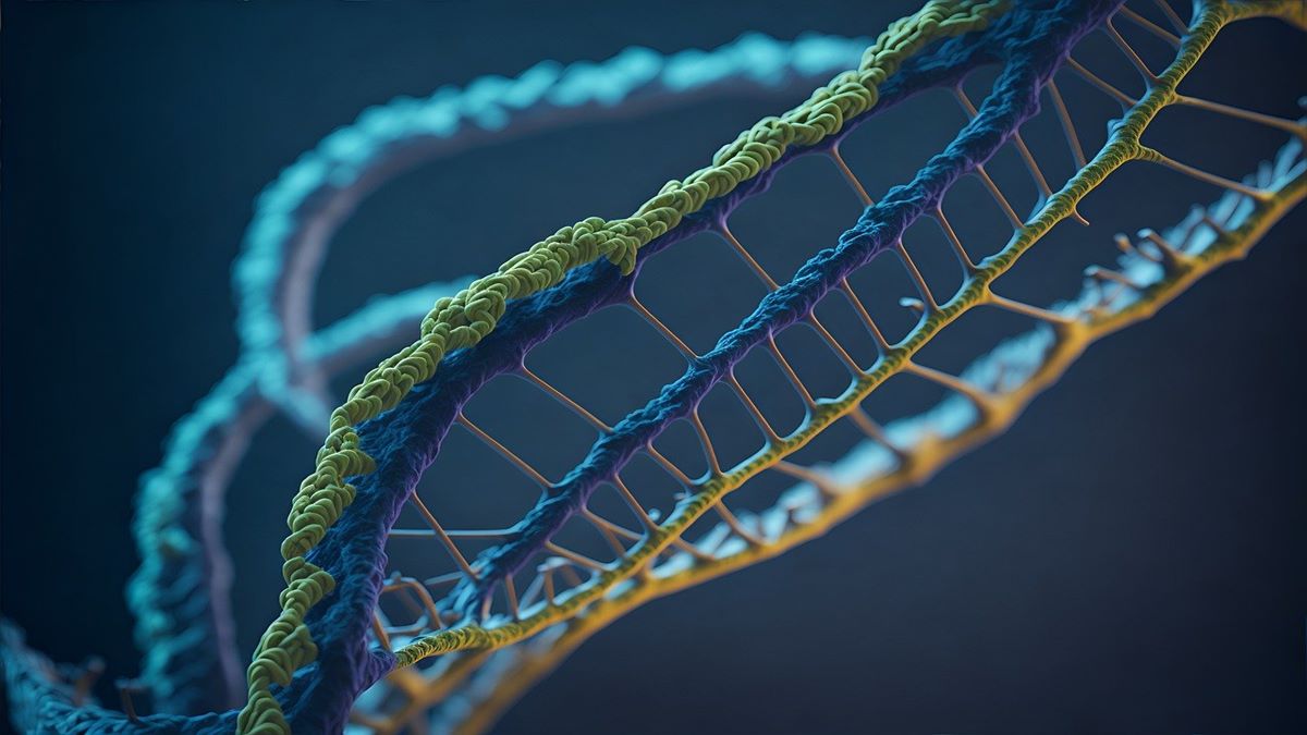 These 6 genes control your personality, health and well-being--Here's what you need to know about them These 6 genes control your personality, health and well-being--Here's what you need to know about them