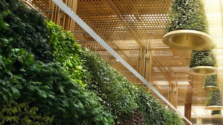 Kempegowda International Airport, Kempegowda International Airport Bengaluru, world earth day 2024, world earth day, earth day, Bengaluru Airport, BLR Airport, airports in india, aviation, airport