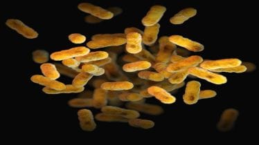 Whooping cough, whooping cough in china, whooping cough symptoms, whooping cough treatment, healthcare news,