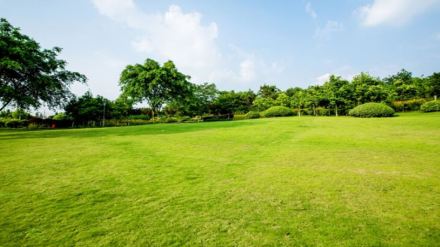 Sumadhura Group acquires 40 acres of land in Bengaluru to strengthen its residential portfolio