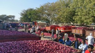 Sources said from the current year, federations keeping onion in their storage facilities for buffer (Image/Reuters)