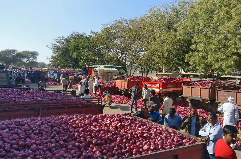 Sources said from the current year, federations keeping onion in their storage facilities for buffer (Image/Reuters)