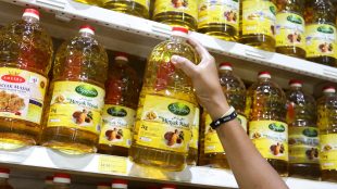 sunflower oil, volume growth, healthy harvest, government policies, duty-free imports, capital expenditure, edible oil industry, consumption, soybean oil, refining capacity