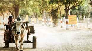 rural, poverty