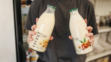 plant-based dairy, Milk alternatives, lactose intolerance, dairy allergies, demand growth, F&B sector