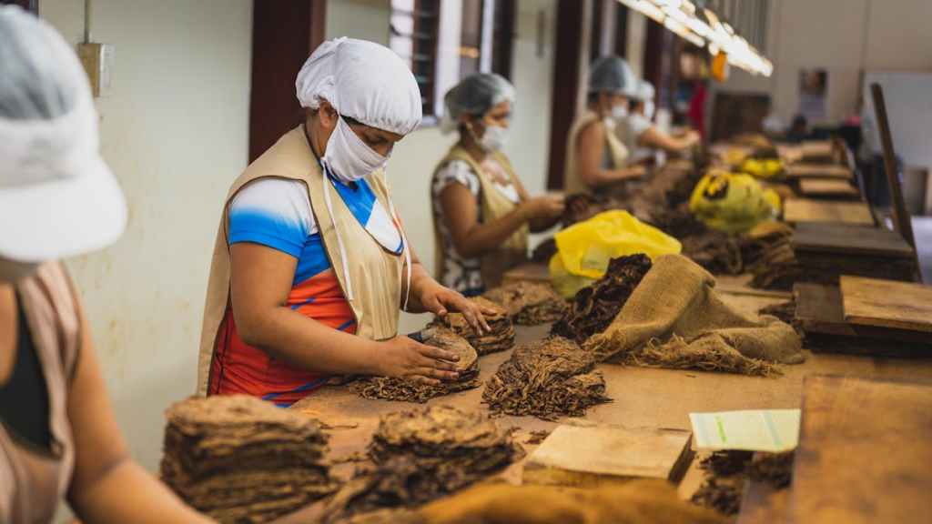 micro enterprises, sustainability readiness, working capital blockage, skilled labour, prices, OAEs, market linkage, digital marketing, raw material skills, credit, subsidy micro enterprises, sustainability readiness, working capital blockage, skilled labour, prices, OAEs, market linkage, digital marketing, raw material skills, credit, subsidy