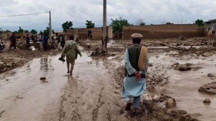 afghanistan floods, flood in afghanistan, taliban government, flash floods in afghanistan, world news