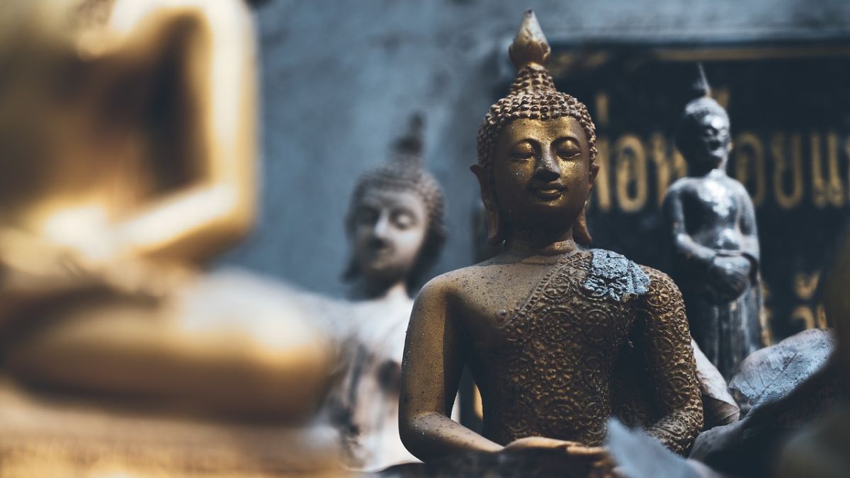 Buddha Purnima History & Significance, Happy Buddha Purnima Wishes 2024 Buddha Purnima History & Significance, Happy Buddha Purnima Wishes 2024