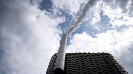 carbon credit, credit, environment, opinion