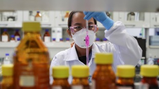 Dr. Reddy's Lab share price falls over 5%