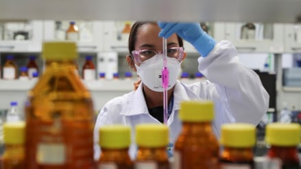 Dr. Reddy's Lab share price falls over 5%