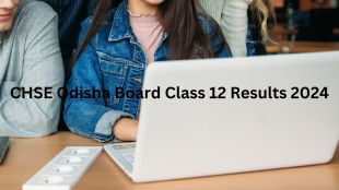 Odisha HS +2 Result 2024: Students can use their login credentials to check results (Photo: Canva/Representative Image)