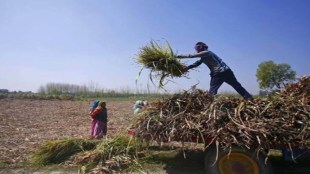 Farmers to register on the portal prior to sowing of crops.