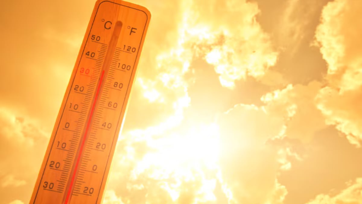 The temperature today was 52.9 degrees Celsius (Photo: Freepik)